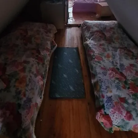 Apartamento Idylissches Ferienhäusle Im Thüringer Wald