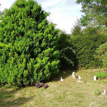 公寓 Idylissches Ferienhaeusle Im Thueringer Wald