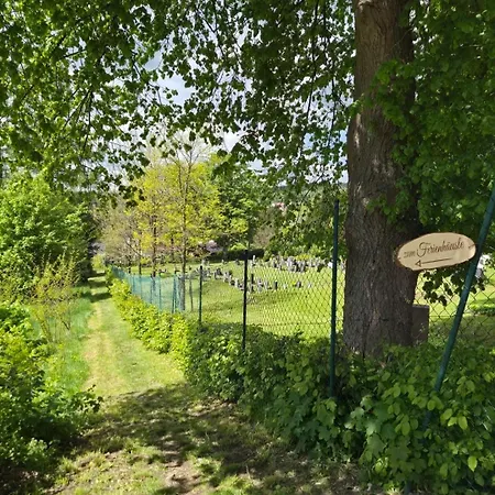 דירה Idylissches Ferienhaeusle Im Thueringer Wald זול