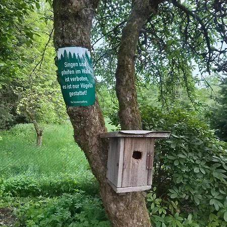 Idylissches Ferienhaeusle Im Thueringer Wald *