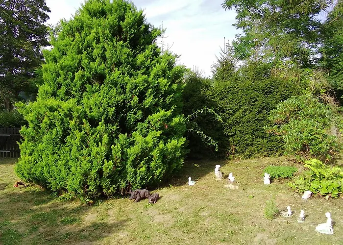 Daire Idylissches Ferienhaeusle Im Thueringer Wald